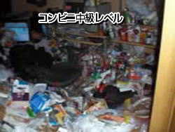 ゴミ屋敷の状態コンビニレベル中級 ゴミ屋敷の状態コンビニレベル中級