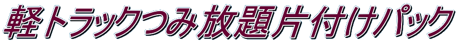 ゴミと不用品軽トラ片付けパック