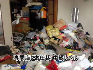 専門店にお任せ中級レベル 専門店にお任せ 中級レベル