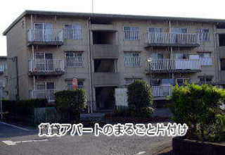 �A�p�[�g�摜